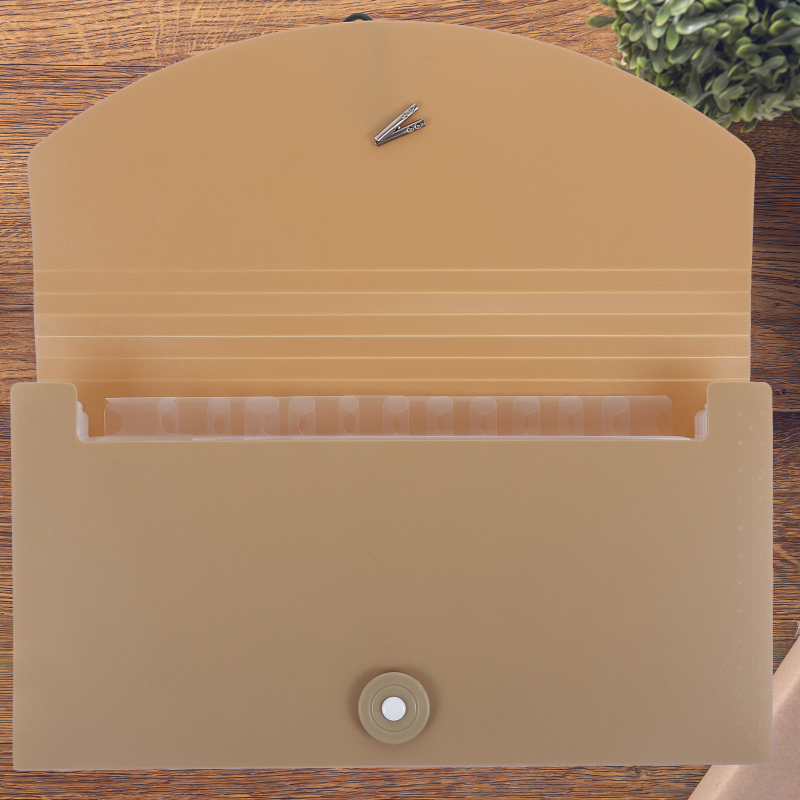 Expandable Accordion File Folder 13 Pockets - Carpeta de archivo extensible con 13